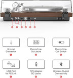 Record Player for Vinyls Turntables Wireless Output Connectivity Belt-Drive 33 - Image 4