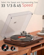 Record Player for Vinyls Turntables Wireless Output Connectivity Belt-Drive 33 - Image 5