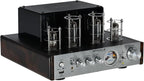 Rockville BluTube DK Audiophile Tube Amplifier by Rockville