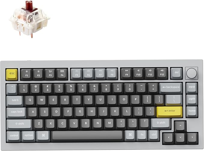 Keychron Q1 RGB Wired Custom Mechanical Keyboard Knob Version, 75% Layout by Keychron