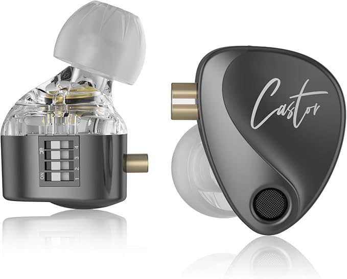 KZ Castor in Ear HiFi Earphone 2DD Dynamic High-end Tunable IEM Earphones in by HHIFIHEAR