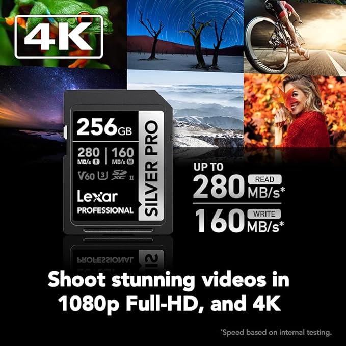 Lexar 256GB Professional SILVER PRO SD Card, Full HD, - Image 2