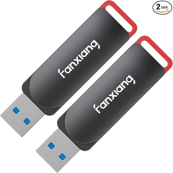 2 Pack 128GB USB Flash Drive, Metal Thumb Drives, USB 3.2 Up to 200MB/s Type A by fanxiang