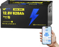 12V 628Ah LiFePO4 Lithium Battery, Built-in Bluetooth 5.0 & 300A BMS, Full by Wattcycle