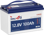 12V 100Ah Pro LiFePO4 Battery, 12 volt Lithium Battery by Timeusb