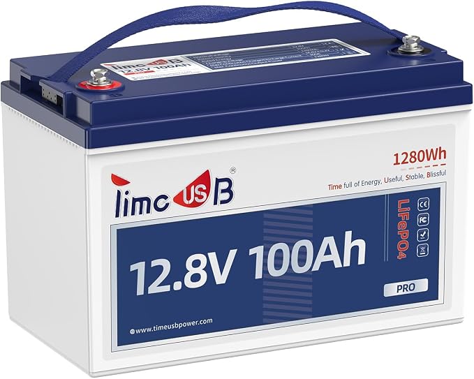 12V 100Ah Pro LiFePO4 Battery, 12 volt Lithium Battery by Timeusb