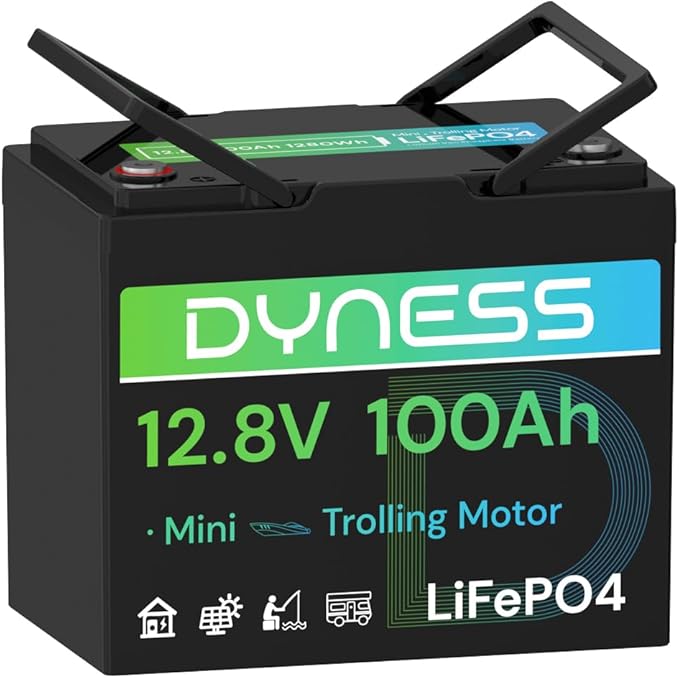 12V 100Ah Mini LiFePO4 Battery Group 24, 12.8V Lithium Battery by Dyness
