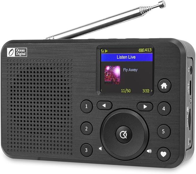 Ocean Digital WR-18 Handheld Portable Internet Radio, Micro SD, Rechargeable by OceanDigital