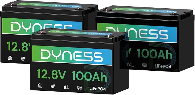 12V 100Ah LiFePO4 Lithium Battery BCI Group 31 by Dyness