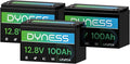 12V 100Ah LiFePO4 Lithium Battery BCI Group 31 by Dyness