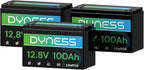 12V 100Ah LiFePO4 Lithium Battery BCI Group 31 by Dyness