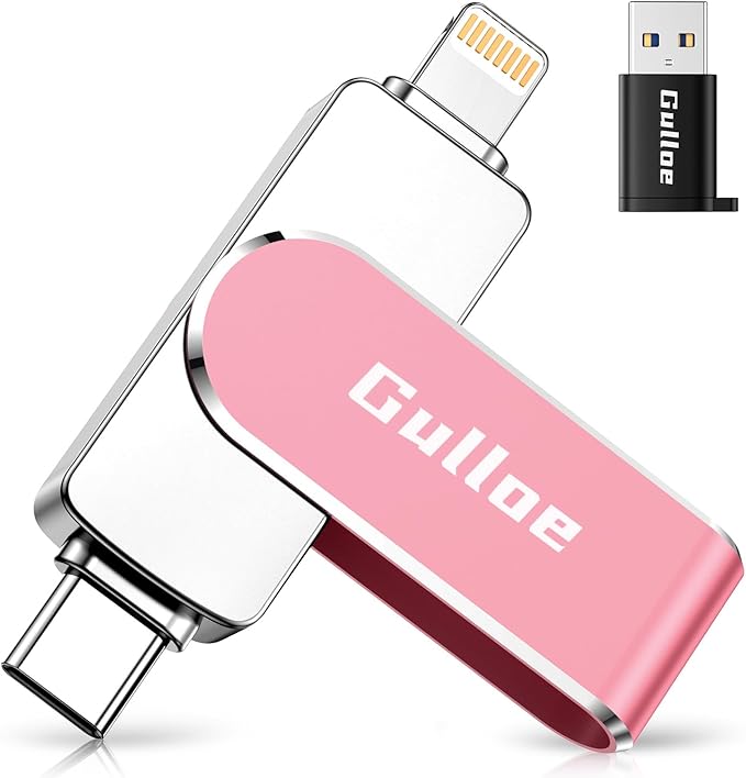Gulloe 256GB Flash Drive Intended by Gulloe