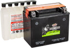 Interstate Batteries YTX12-BS 12V 10Ah Powersports Battery 175CCA AGM - Image 5