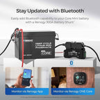 Renogy 12V 200Ah LiFePO4 Lithium Battery Mini Size, 200A Upgraded BMS, 380A - Image 6