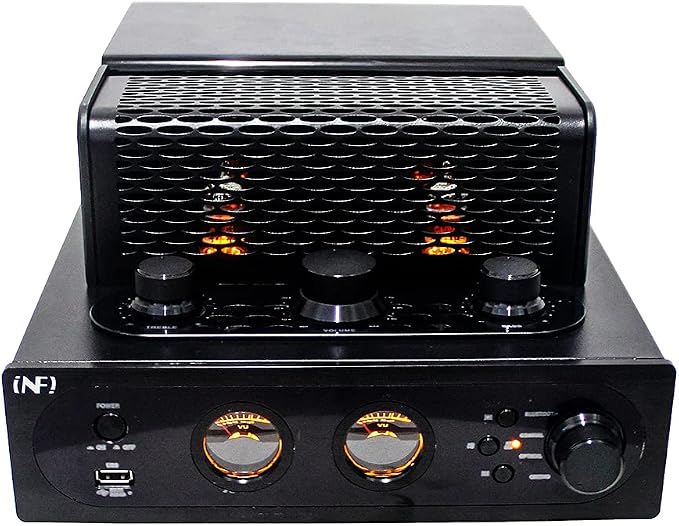 INFI Audio Hybrid Class AB Tube Amplifier 6N3 Power Amp - Image 3