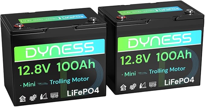 12V 100Ah Mini LiFePO4 Battery 2 Pack Group 24, 12 Volt Deep Cycle Lithium by Dyness