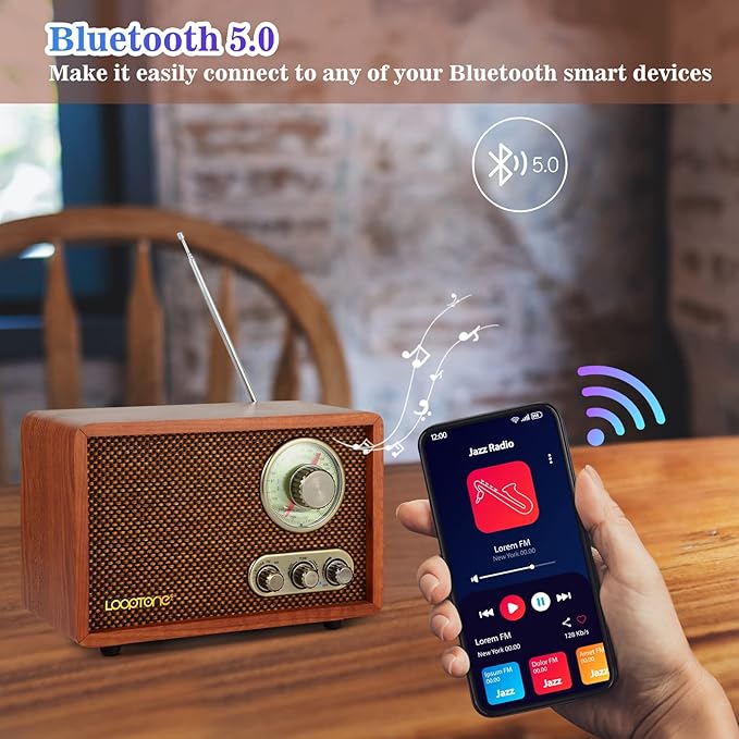 LoopTone USB SD Multifunction AM FM Vintage Radio - Image 4