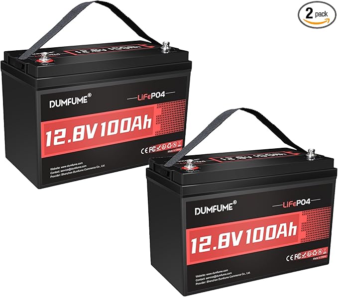 2 Packs 12V 100Ah LiFePO4 Lithium Battery, Built in 100A BMS, 1280W Power Output by Dumfume