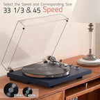 Turntables Belt-Drive Record Player - Image 2