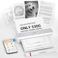 iDPRT Portable Thermal Printer, 203DPI Wireless Bluetooth Small Printers by iDPRT