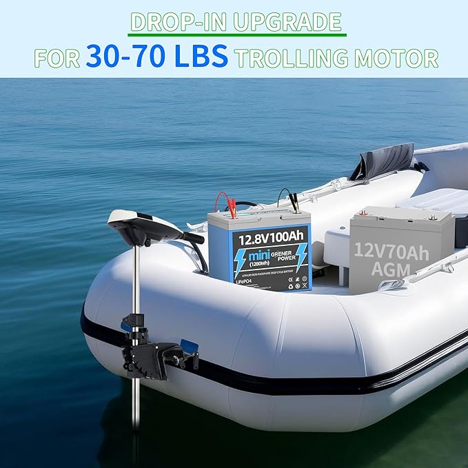 12V100Ah Mini LiFePO4 Battery, 100A BMS 12.8V Lithium Battery, 100AH Lifepo4 - Image 4