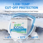 Redodo 12V 100Ah LiFePO4 Battery Bluetooth, Low-Temp Protection BCI Group 24 - Image 4