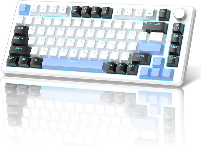 MageGee 75% Mechanical Gaming Keyboard, Compact Blue Backlit Wired Gaming by MageGee