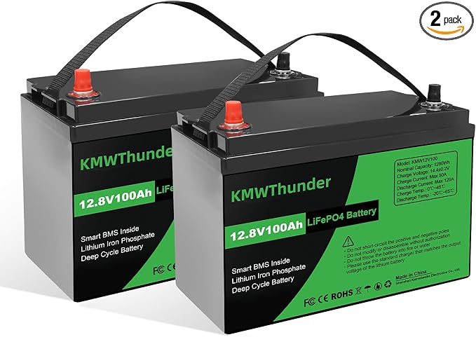 12V 100Ah LiFePO4 Lithium Battery, Built-in Smart BMS, Low Temperature by LVGOOREVO