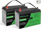 12V 100Ah LiFePO4 Lithium Battery, Built-in Smart BMS, Low Temperature by LVGOOREVO