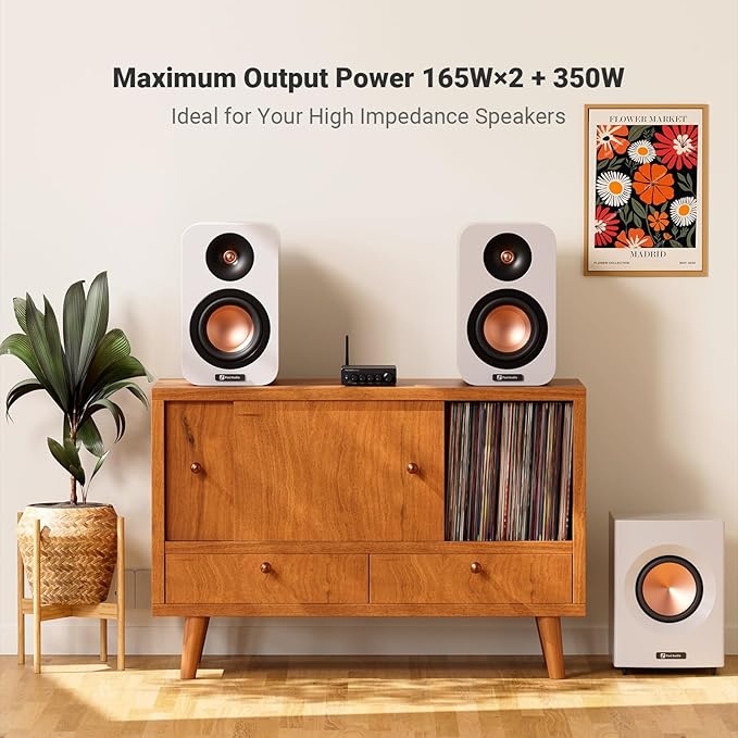 Fosi Audio Bluetooth Subwoofer Amplifier 2.1, BT30D Pro Subwoofer Amp - Image 2