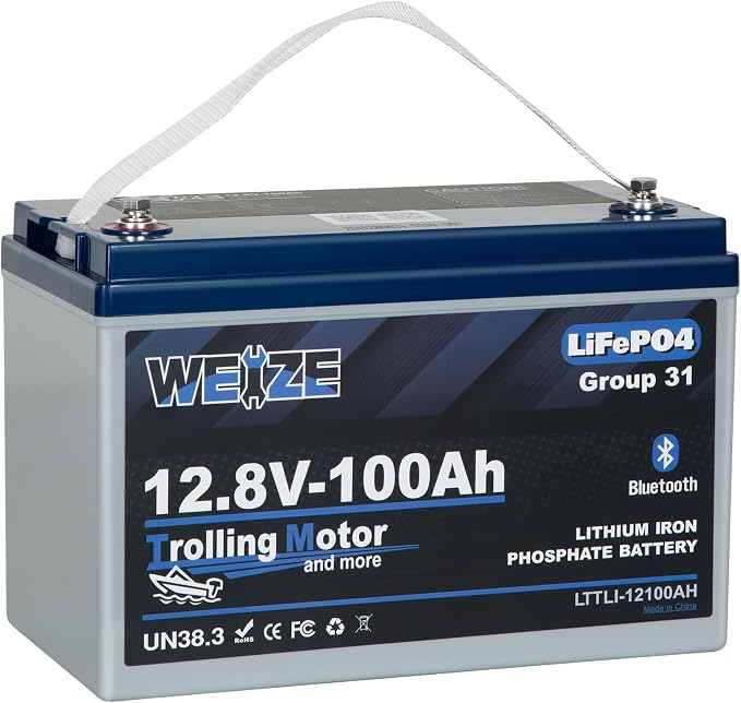Weize 12V 100Ah TM Bluetooth LiFePO4 Lithium Battery, Built-in 120A BMS by WEIZE