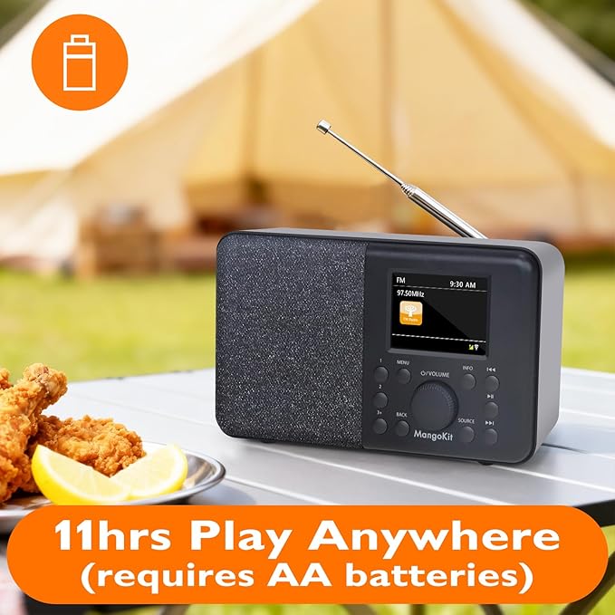 SR10 WiFi Internet Radio, Podcast Player, Portable FM Radio, Color Display - Image 5
