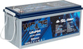 WEIZE 24V 100AH Bluetooth LiFePO4 Lithium Battery, Grade A Cells, 150A BMS by WEIZE