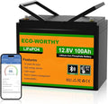 ECO-WORTHY 12V 100AH LiFePO4 Lithium Battery by ECO-WORTHY