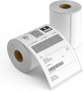2 Rolls 4" x 6" Direct Thermal Printer Label, 250 Labels/Roll, Total 500 by MultiLabel