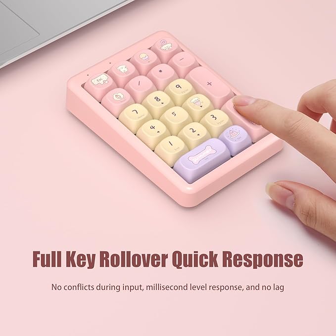 NumberPad, 21Keys HotSwappable Numpad, Rechargeable Number keypad, RGB Gasket - Image 6