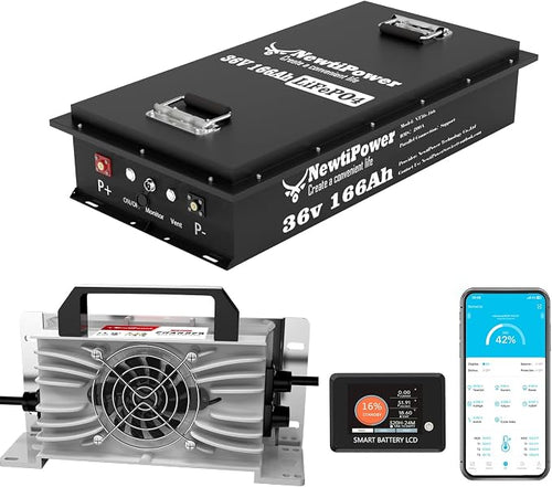 36V 166Ah Golf Cart Lithium LiFePO4 Battery by NewtiPower