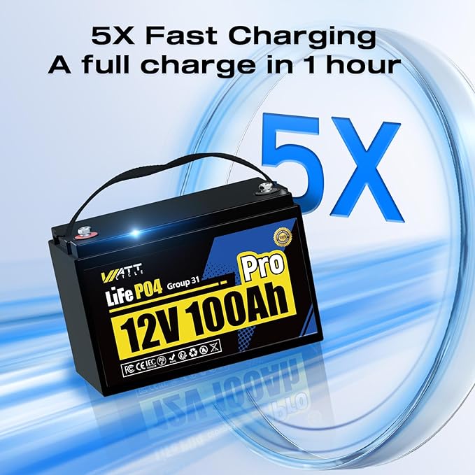 2Pack 12V 100Ah LiFePO4 Lithium Battery, BCI Group 31, Deep Cycle Up to 15000 - Image 5