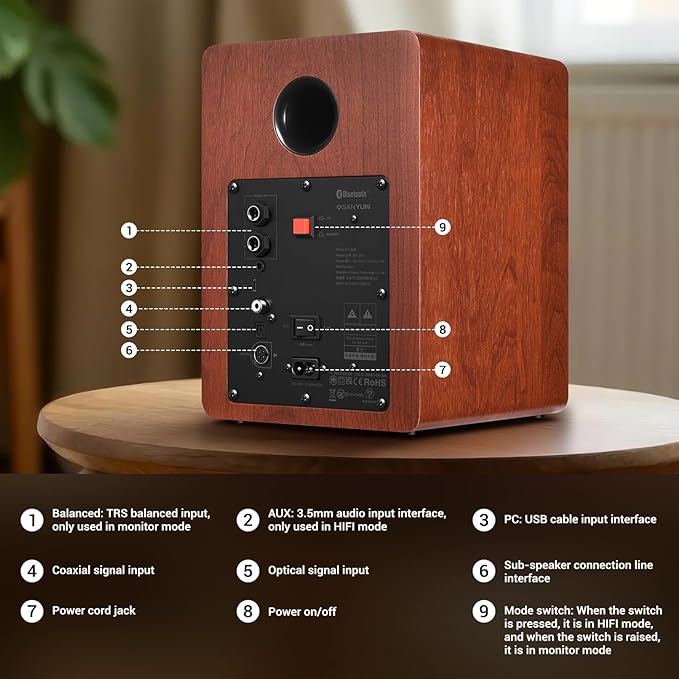 Sanyun SW206 80W Active Dual-Mode Bookshelf Speakers, 4” Studio Monitor & HiFi - Image 5