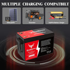 12V 300Ah Golf Cart Lithium LiFePO4 Battery - Image 5