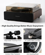 Vinyl Record Player, High Fidelity Belt Drive Turntable - Image 5
