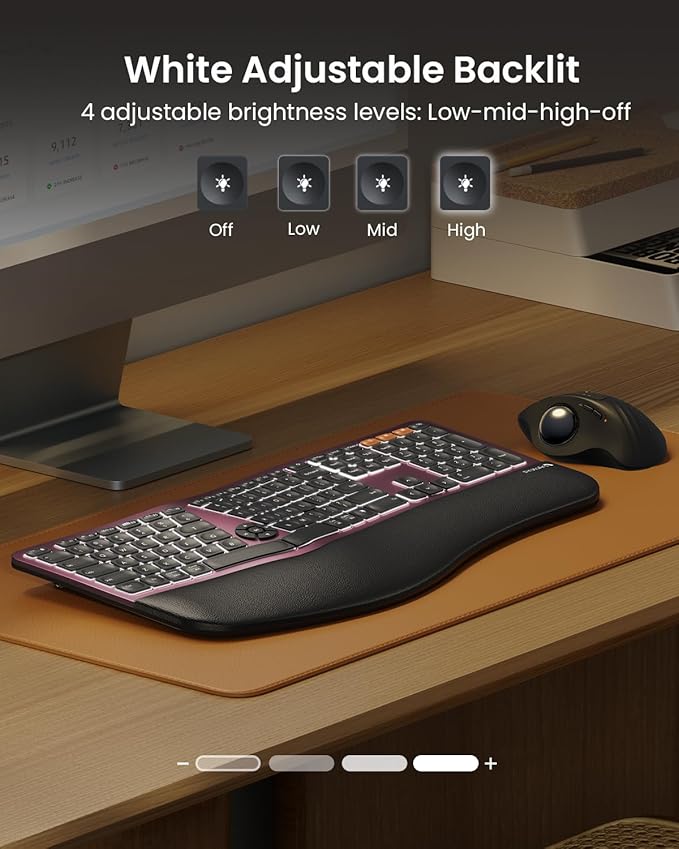 ProtoArc Backlit Bluetooth Ergonomic Keyboard, EK01 Plus Full Size Wireless - Image 2