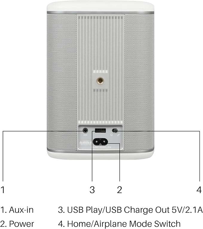 RIVA Upgraded Arena Wi-Fi Bluetooth Hi-Fi Speaker, 6 Drivers, Supports Airplay 2 - Image 3
