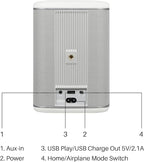 RIVA Upgraded Arena Wi-Fi Bluetooth Hi-Fi Speaker, 6 Drivers, Supports Airplay 2 - Image 3