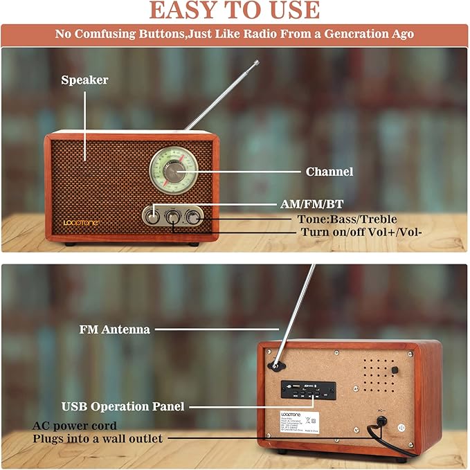 LoopTone USB SD Multifunction AM FM Vintage Radio - Image 7