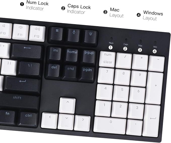 Keychron C2 Full Size 104 Keys USB Type-C Wired Mechanical Gaming Keyboard - Image 5