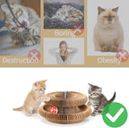 Magic Organ Cat Scratcher Board, Cat Ball Adventure The Ultimate Interactive - Image 6