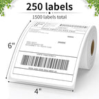 FungLam 6 Rolls 4"x6" Thermal Shipping Labels, 250 Labels/6 Roll, Perforated - Image 2