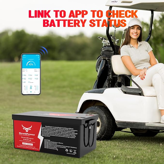 36V 100Ah Golf Cart Lithium LiFePO4 Battery - Image 5