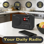 LeMega IR1S Internet Radio - Image 2